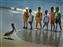 Pelican and kids_W.jpg