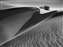 Dunes_W.jpg